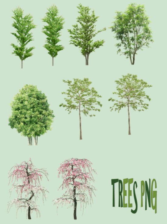 سكرابز اشجار للتصميم Trees Clipart Free PNG 