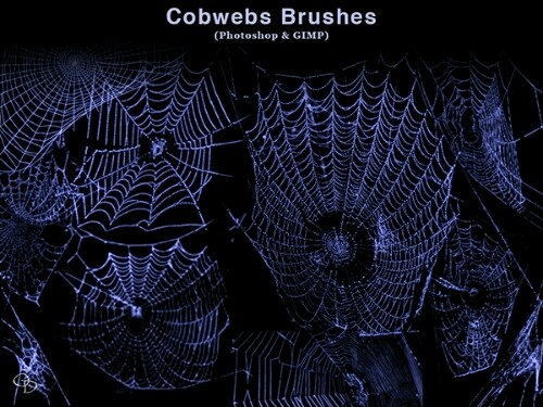 فرش شبكة عنكبوت للفوتوشوب Spider Web Photoshop Brushes 