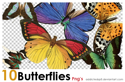 سكرابز صور فراشات للتحميل butterflies clipart free 