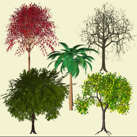 سكرابز اشجار للتصميم Trees Clipart Free PNG 