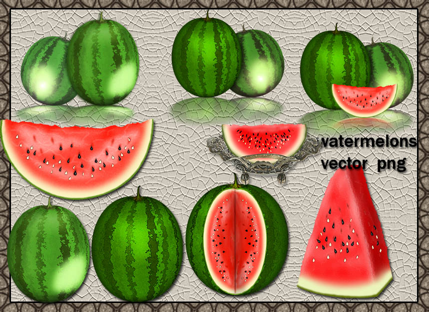 سكرابز بطيخ مفرغه للتصميم watermelons clipart png 